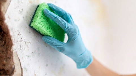 Tips for Cleaning Up After Water Damage